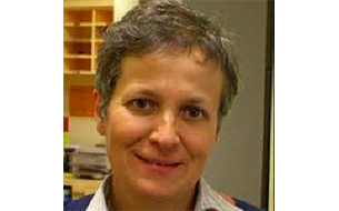 Segona conferència del 34è CICLE DE FÍSICA OBERTA